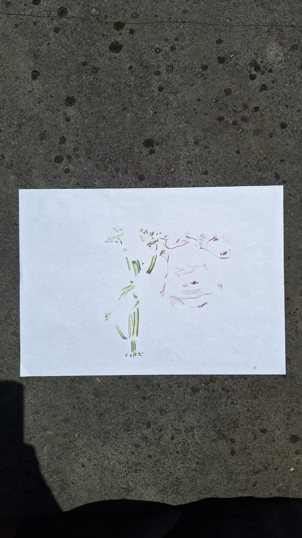 Plant & nude