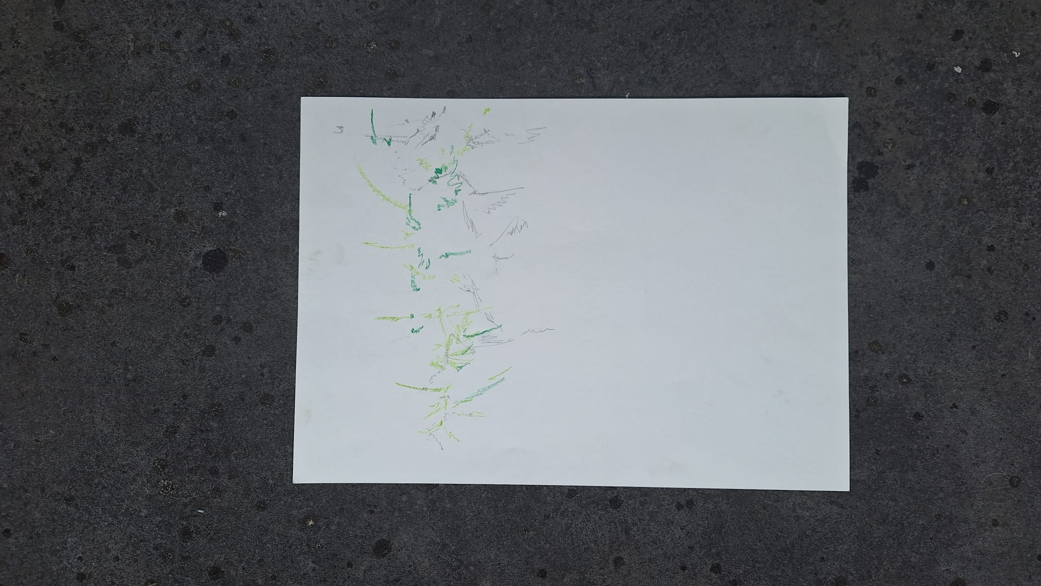 Plant schets